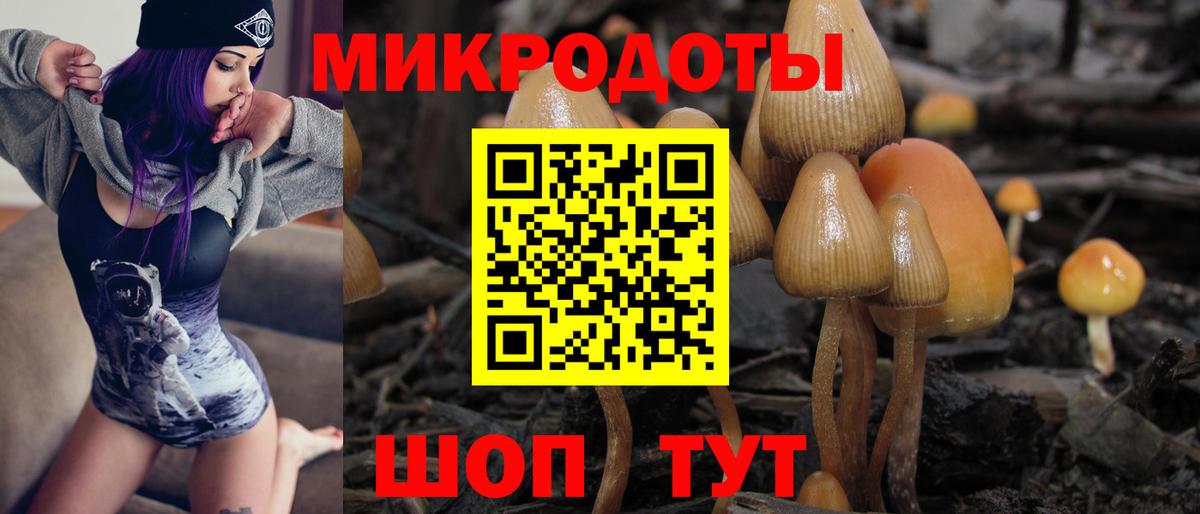 Галлюциногенные грибы мухоморы  Вход с VPN  Асино 